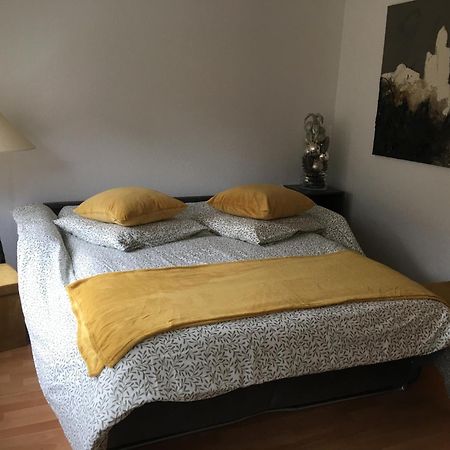 La Sinne Appartement 2 Pieces Avec Garage Mulhouse Dış mekan fotoğraf